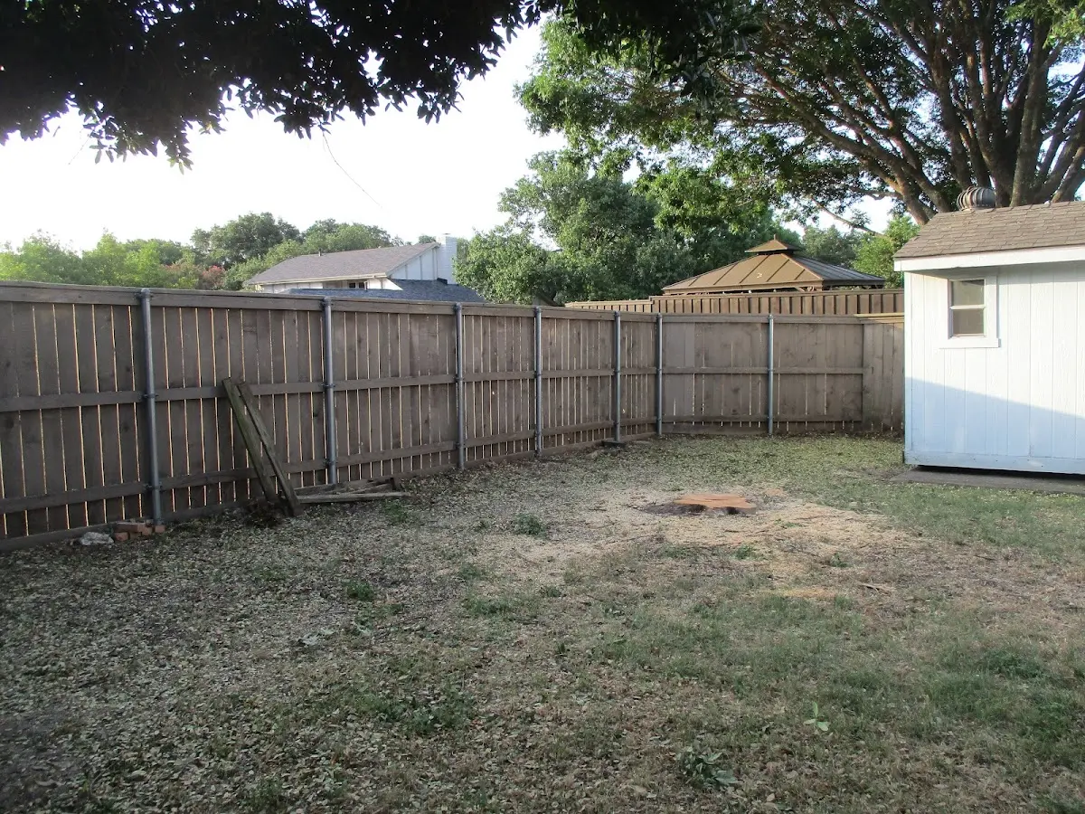 Cleared yard after professional tree removal in Eckert